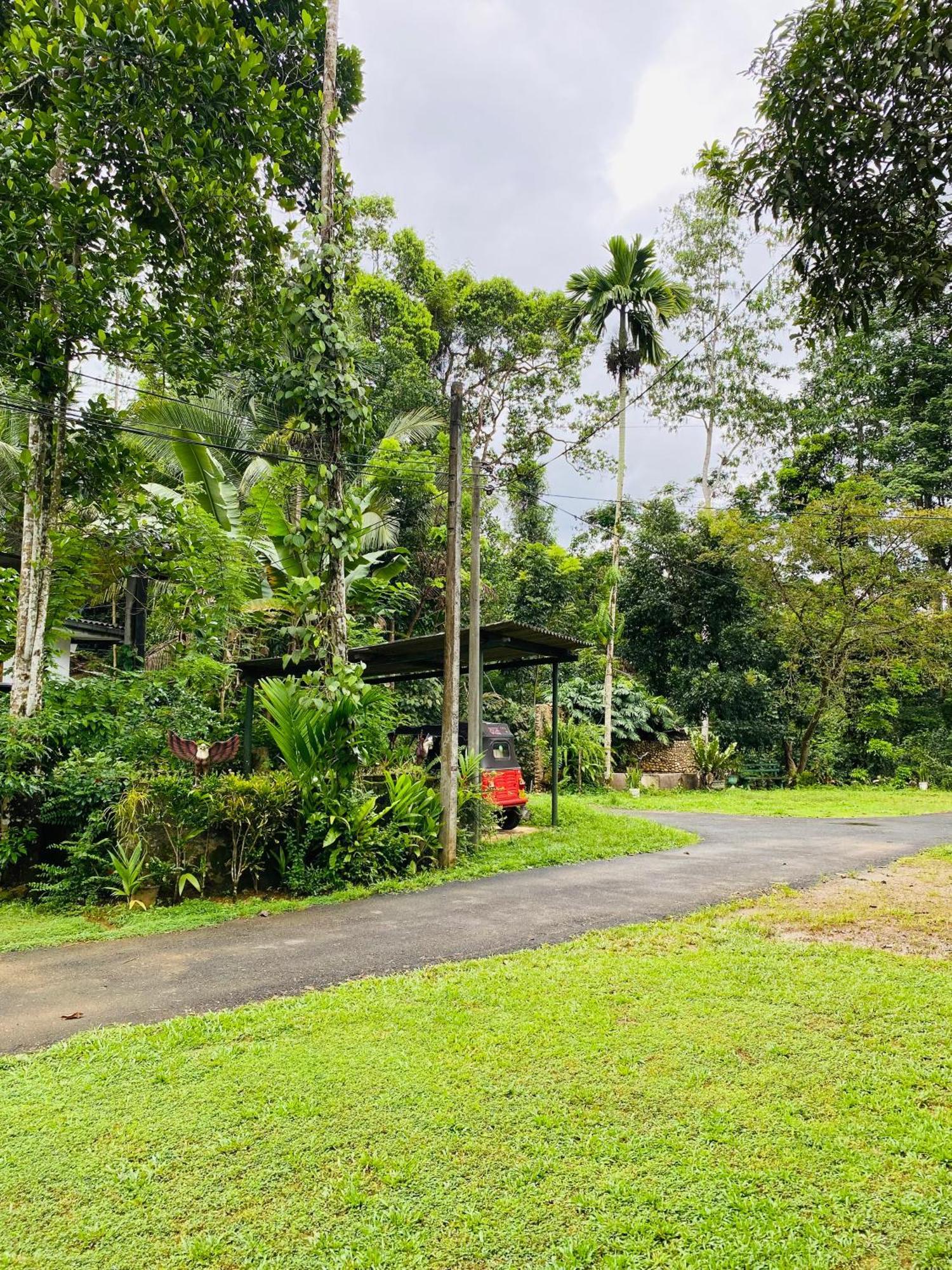 Summer Ridge - Homestay Ratnapura Kültér fotó