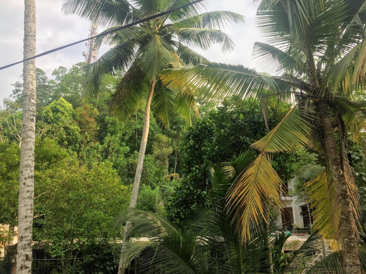 Summer Ridge - Homestay Ratnapura Kültér fotó
